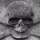 Adam's head - old