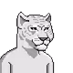 Leopards Dynasty Old