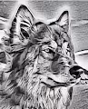Wolf Way