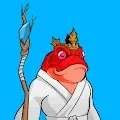 WarriorToadz