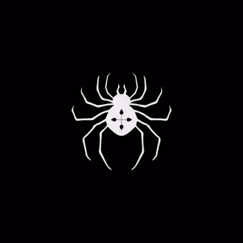 Japan Spider Ryodan
