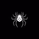 Japan Spider Ryodan