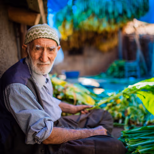 Producing hands - old