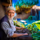 Producing hands - old