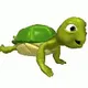 Pet Turt