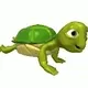 Pet Turt