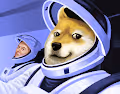 Doge Goes