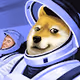 Doge Goes