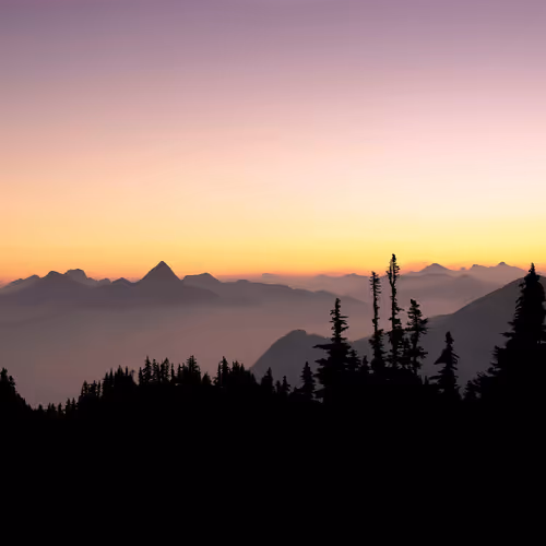 Spread Some Kindness