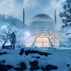 Frozen Chronicles