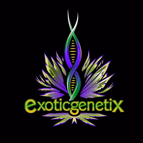 Exotic Genetix 4EVER Club V2