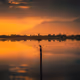 Lonesome Hope