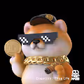 Bashi Dogecoin Series - old