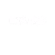 black plate