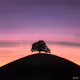 Colorful_World