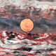 Fragmentary - Artist- Apex Tremor - Clarkey