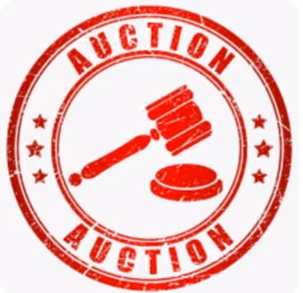 Auction  NFTs