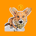 HODL Corgis - old