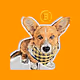 HODL Corgis - old