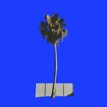 Pop trees