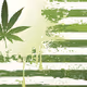 Weed Uncle
