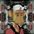 Bored Ape Wonderland