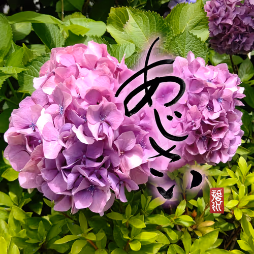 Calligraphy & Japanese Landscape