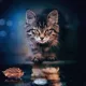 Kind cat