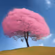 the pink trees