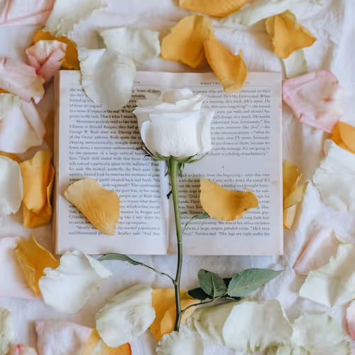 NFT IMAGES, PDFs & VIDEO COLLECTIONS