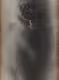 Magic Cat