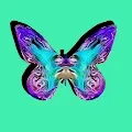 Beautiful Crypto Butterflies