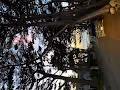 The Sunset Gallery