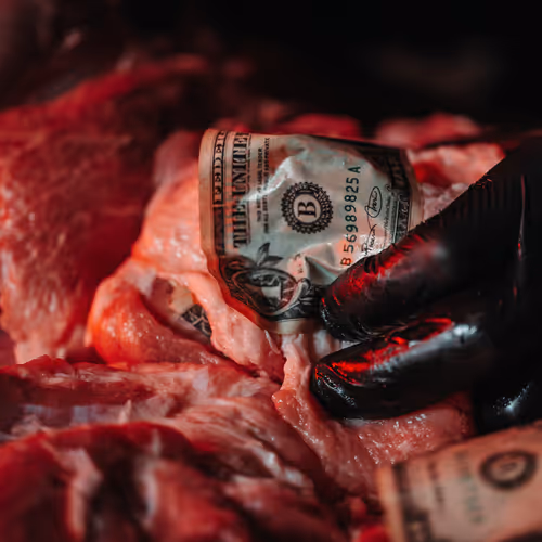 VantaCult