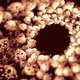 Flame fractals by anon