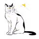 Cat - OzqGUXZ62Q - old