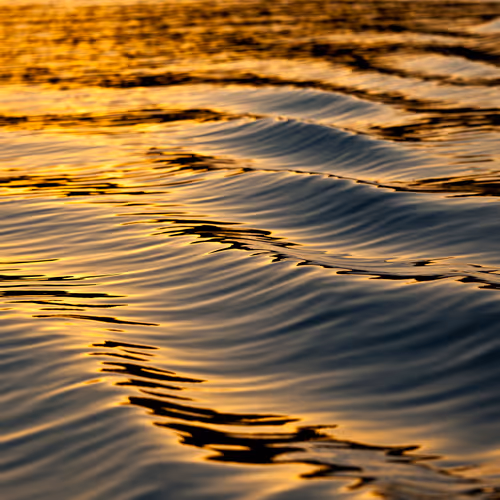 Reflections of the soul