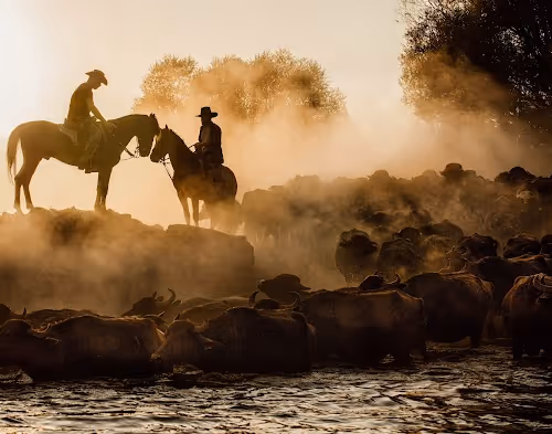 The Colors Of Life V2