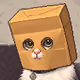 Anonymus Cat