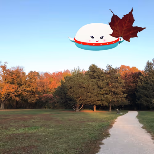 Autumn in Ontario