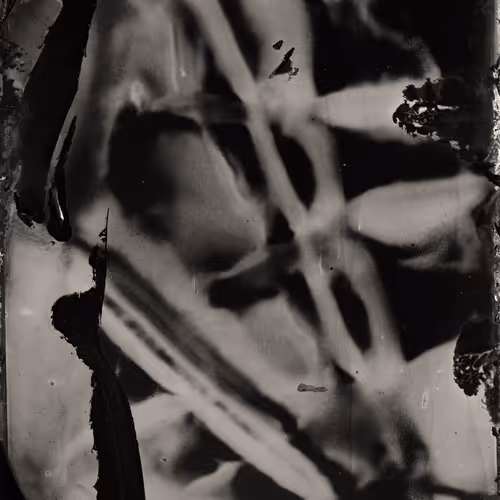 Technical Images by Casey REAS and Erika Weitz