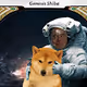 Space Shiba Cards