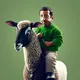 Riding on a lamb