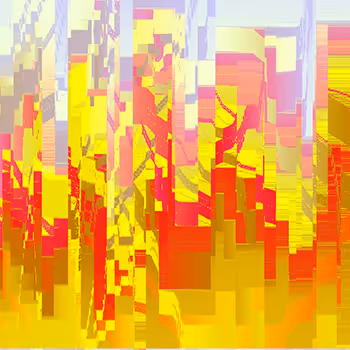 Lisa Orth Foundation Collection