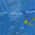 Man lost in the sea