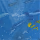 Man lost in the sea