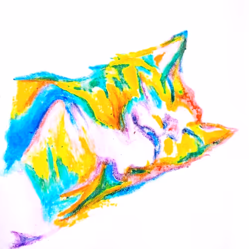 Colored Cats Rainbow