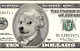 Doge Cash