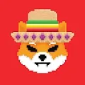 The SHIB Collection