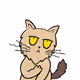 SUPER SuperCats